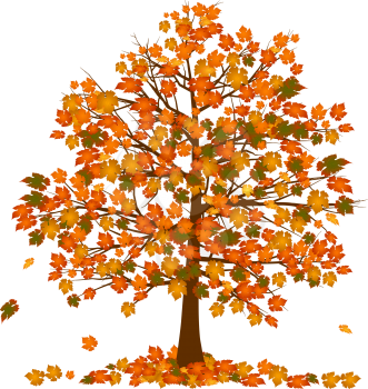 Royalty Free Clipart Image of an Autumn Tree