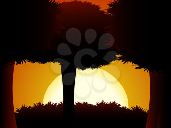 Royalty Free Clipart Image of Sun Setting Behind Trees in a Forest