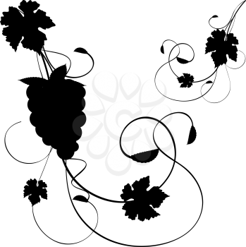 Royalty Free Clipart Image of a Grape Vine Illustration