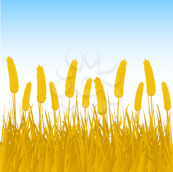 Royalty Free Clipart Image of Corn Growing in a Field