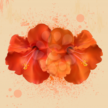 Royalty Free Clipart Image of Hibiscus Flowers on a Grunge Background