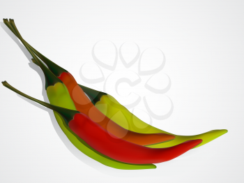 Royalty Free Clipart Image of Chilli Peppers