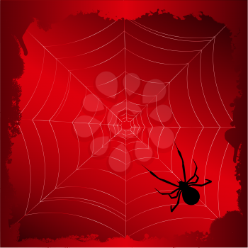 Royalty Free Clipart Image of a Spider and Cobweb Background