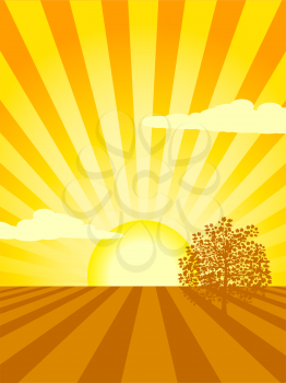Royalty Free Clipart Image of a Sun Setting Over a Field