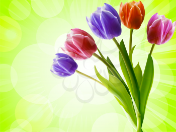 Royalty Free Clipart Image of Tulips on a Green Background