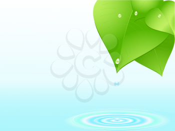 Royalty Free Clipart Image of Green Leaves Hanging Over Water