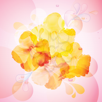 Hibiscus flowers on an abstract background with bubbles and splashes