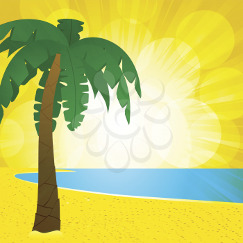 Palm tree on a summer beach with sea and golden summer sky
