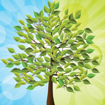 Summer tree with green leaves on a half green and blue background with glowing circles