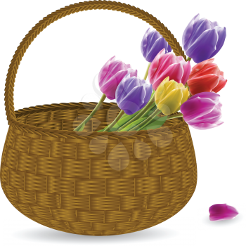 pink, red, purple and yellow tulips  in a wicker basket