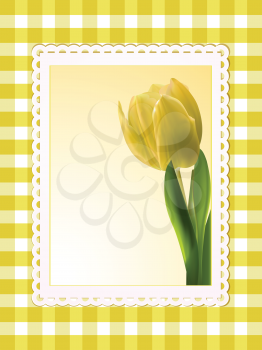 tulip background in a white frame on a yellow gingham check background