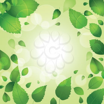 Spring leaves on a green background with lens flares