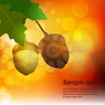 Autumn Acorn Vector Background with Sample Text
