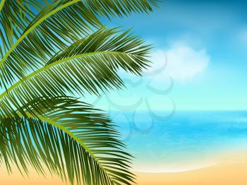 Tropical Background with Sea, Beach and Clouds viewed from behind a Palm Tree