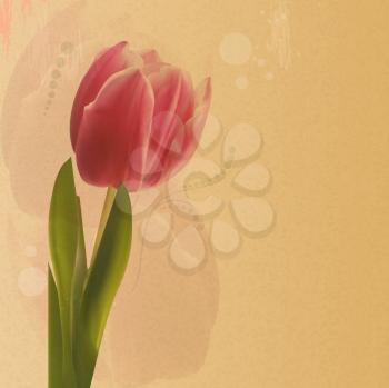 Tulip Flower on a Texture Background