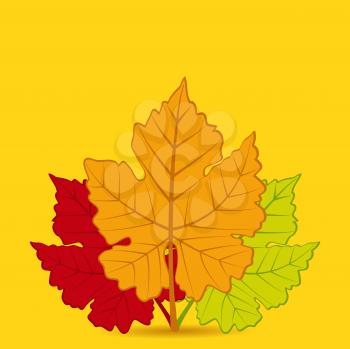 Autum Leaf Vector in Red, Orange and Green on a Yellow Background