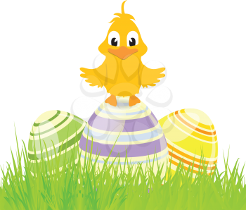 Easter Eggs and Cute Chick on Grass