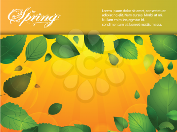 Spring Landscape Background with Leafs and Sample Text