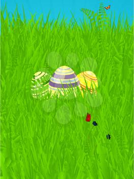 Decorated Easter Eggs Over Spring Green Grass with Butterfly