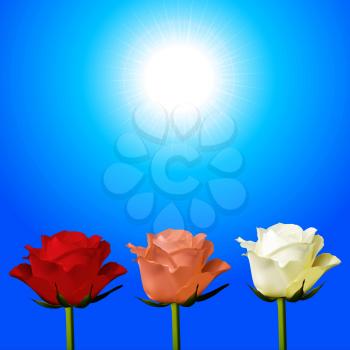 3D Illustration of Trio of Red Pink and White Roses Over Sunny Sky Background