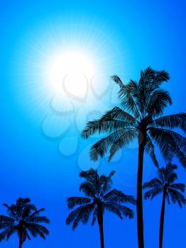 Palm Trees Black Silhouettes Over Blue Sunny Sky Background