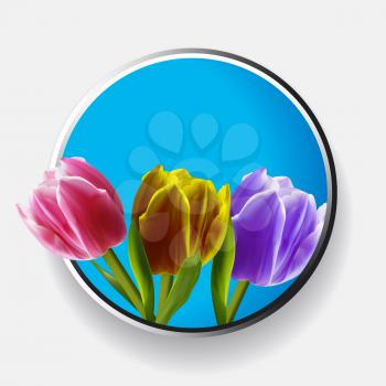 3D Illustration of Trio of Pink Yellow and Purple Tulips Over Metallic and Blue Border With Shadow