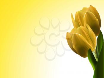 3D Illustration of Two Yellow Tulips Over Yellow and White Landscape Background