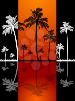 Black and White Palm Trees and Grass Silhouette with Reflection Over Black Background with Red Central Panel