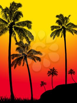 Summer Tropical Palm Trees Forest Silhouette Over Yellow and Red Background