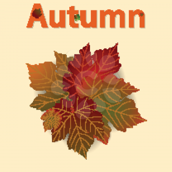 Autumn Fall Background With Leafs With Shadow and Autumn Text Decorated With Leafs and Acorns