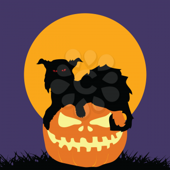 Halloween Spooky Feral Cat Silhouette on Hand Drawn Pumpkin Over Purple Background