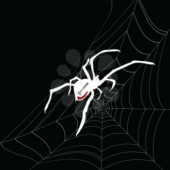 White Silhouette Of a Spider With Halloween Decorative Text on The Body and Wed Over Black Background