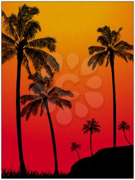 Tropical Sunset Red And Yellow Portrait Background With Palm Trees And Grass Black Silhouettes