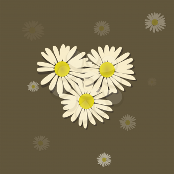 Trio Of Daisy Flowers Over Trending Green Background With Other Random Daisy With Different Transparency