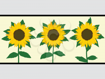 Trio Of Hand Drawn Yellow Sunflowers With Leafs And Stem Over Light Yellow Panel With Black Frame On Gray Background