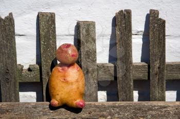 Royalty Free Photo of a Potato Man on the Fence