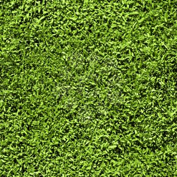 Royalty Free Photo of a Seamless Texture Tile of Grass