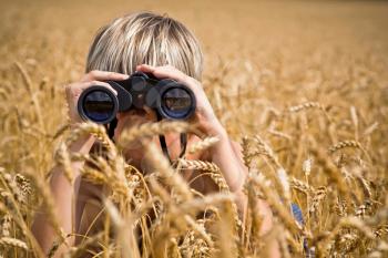 Royalty Free Photo of a Boy in a Field of Wheat