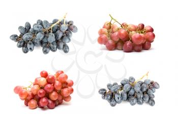 grape set isolated on white background