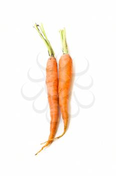 Two carrots on white background