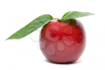 Royalty Free Photo of a Red Apple