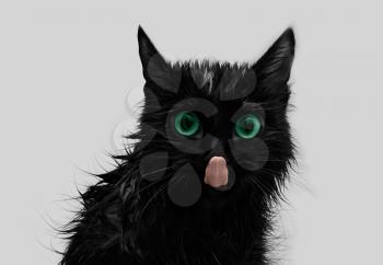 Royalty Free Photo of a Black Cat 