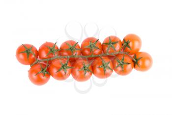 Royalty Free Photo of Ripe Tomatoes 