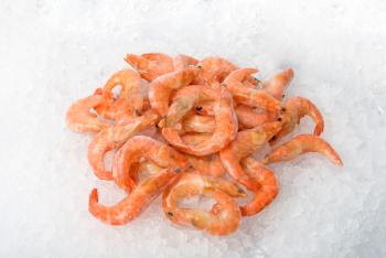 Royalty Free Photo of King Shrimp on Ice