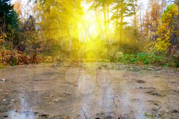 Royalty Free Photo of a Bog in Autumn
