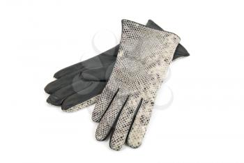 Grey modern reptile female leather gloves isolated on a white
