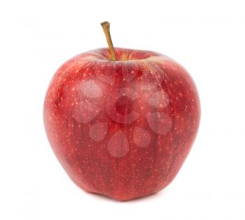 Red ripe apple isolated on a white