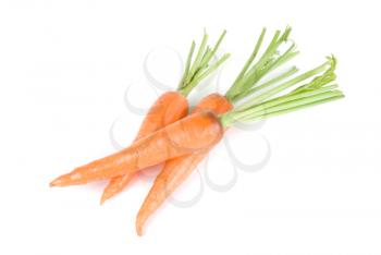 Royalty Free Photo of Ripe Carrots