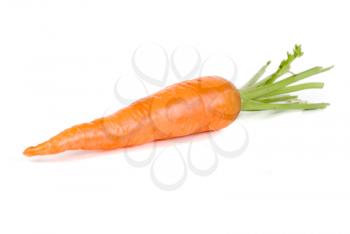 Royalty Free Photo of a Ripe Carrot