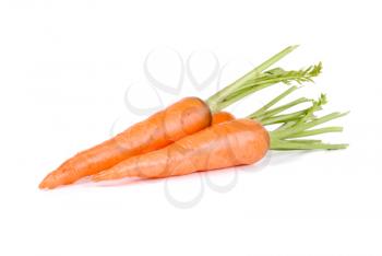 Royalty Free Photo of Ripe Carrots